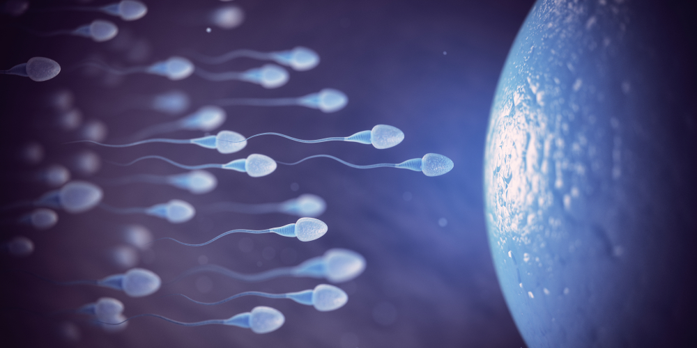Sperm wriggling toward there goal images 296
