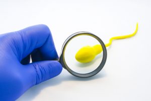 sperm under magnifying glass