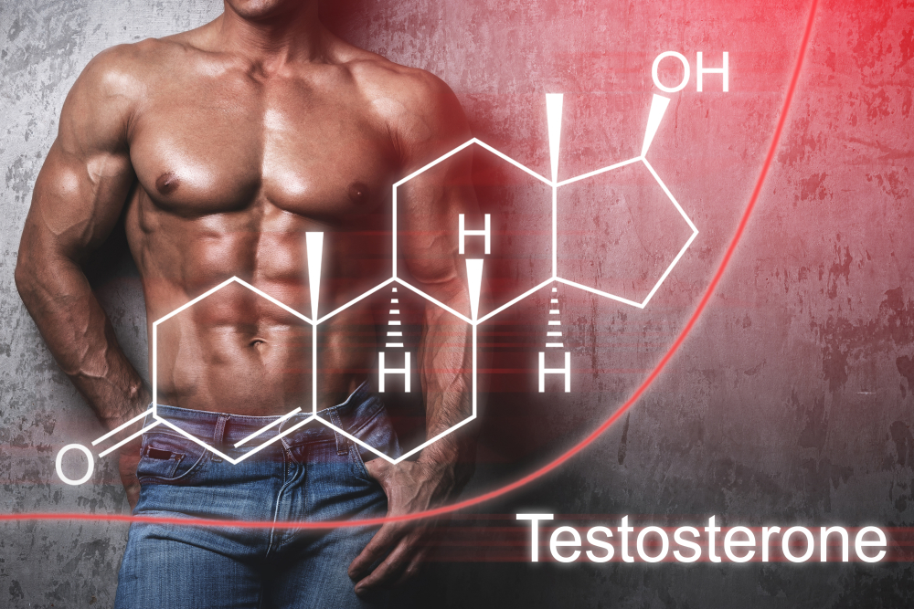 testosterone levels in males