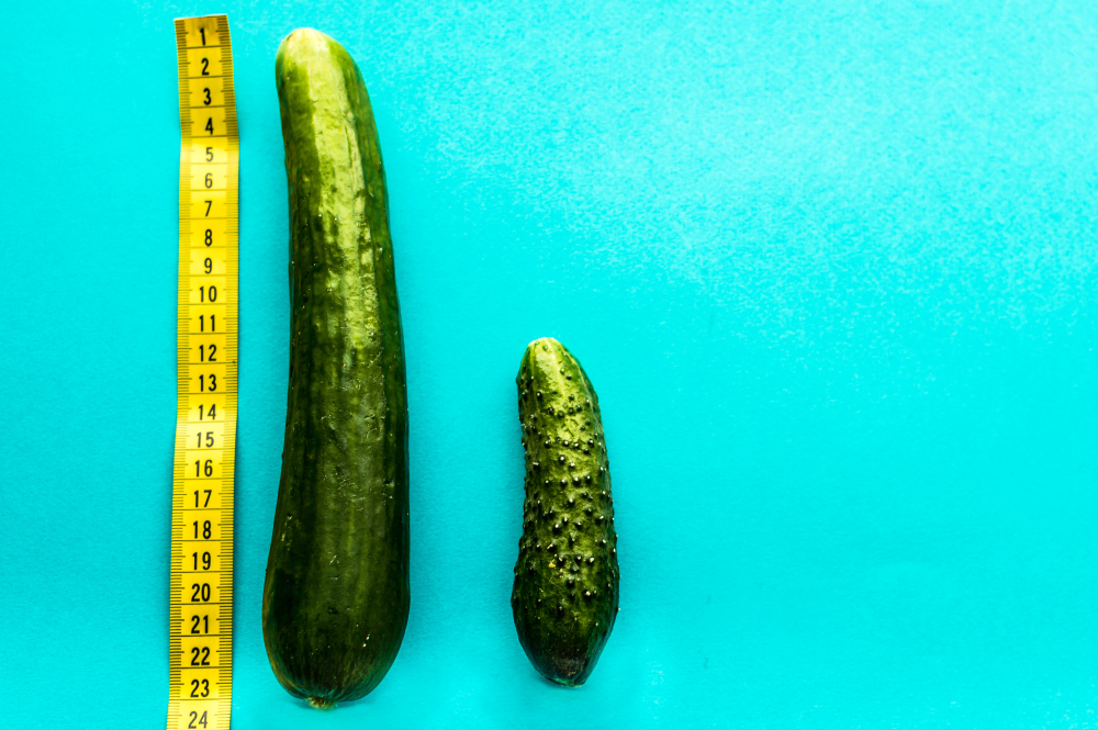 comparing penis sizes with cucumber