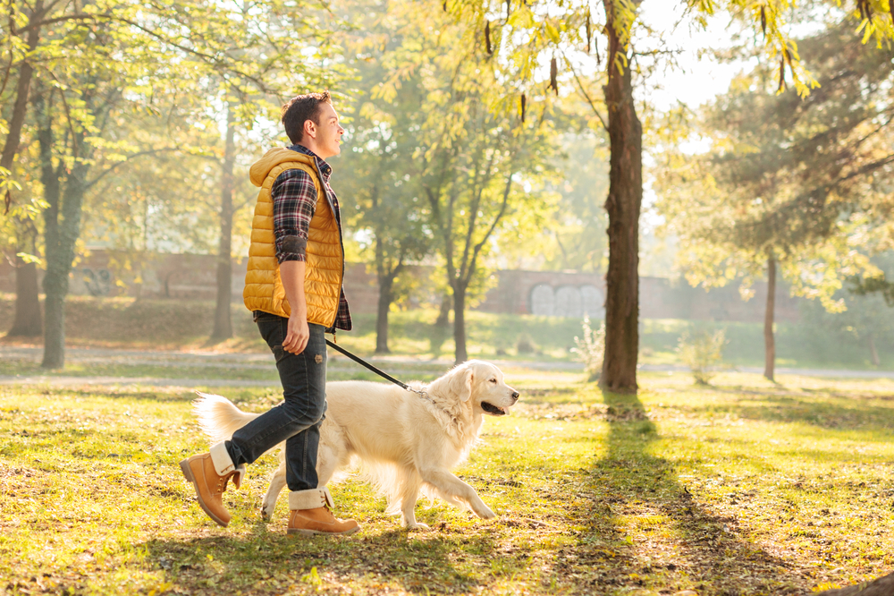 going for a walk in the park with dog