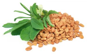 fenugreek seeds