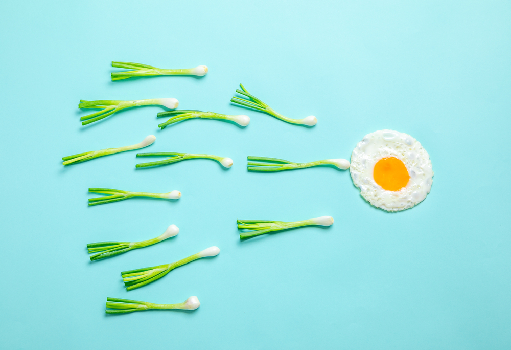 sperm and egg, food representation