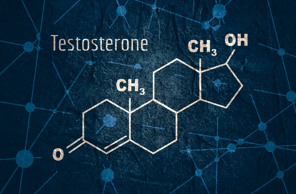 testosterone molecular structure