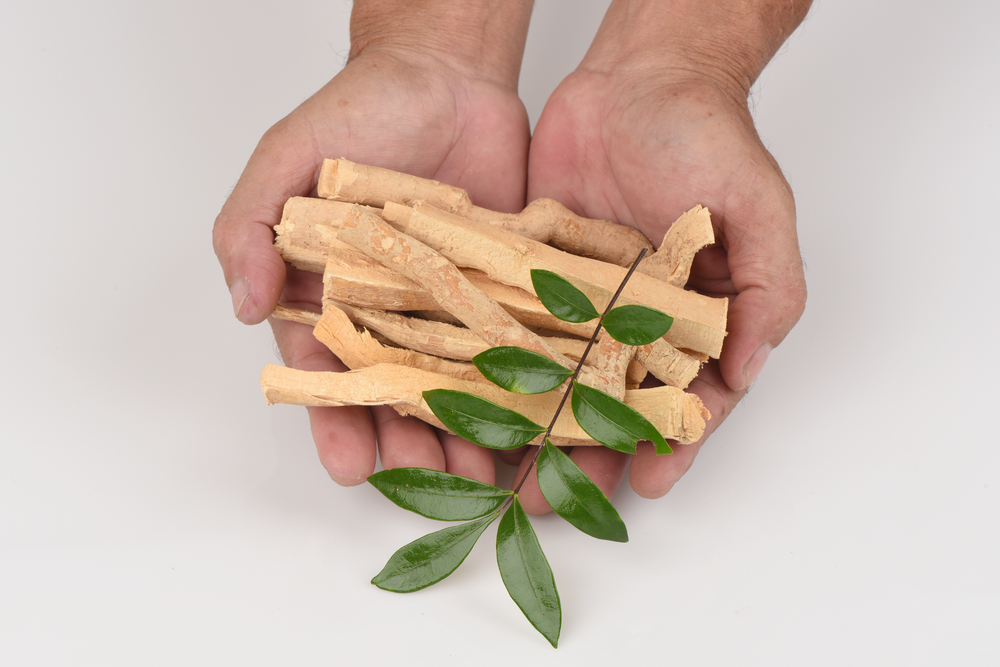 tongkat ali bark and leaves