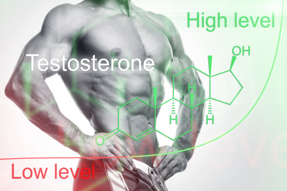 high and low testosterone levels