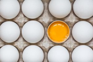 eggs and an open shell