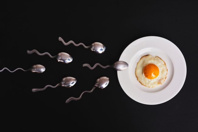 spoon sperms swimming towards egg