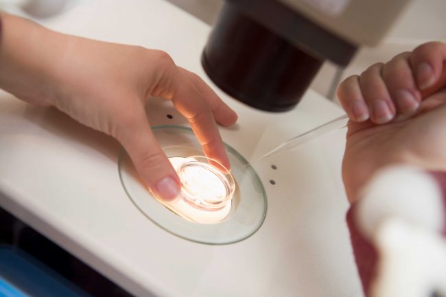 sperm culture on petri dish