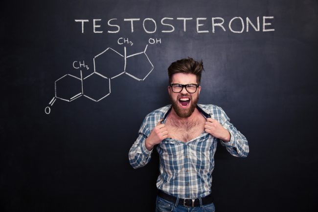 testosterone and aggression